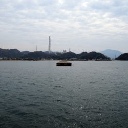 昨日のリベンジ釣行決行の巻